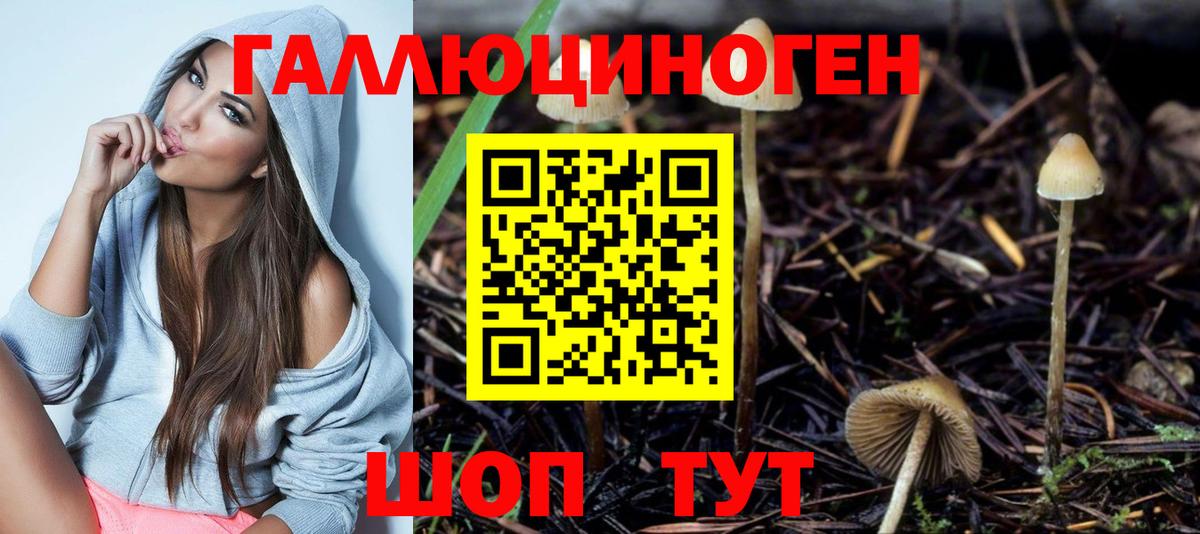 Саратов  Галлюциногенные грибы GOLDEN TEACHER  Вход с VPN  наркошоп  Галлюциногенные грибы Psilocybe 